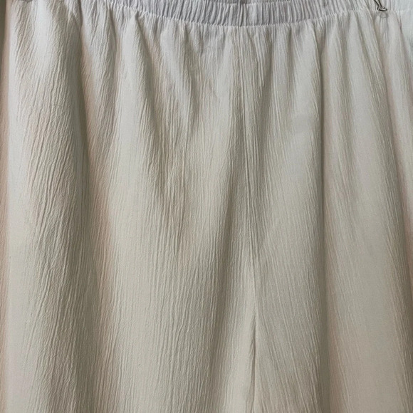 Drapers and Damon White Like Linen Pull On Pants Size 2X - Picture 2 of 5